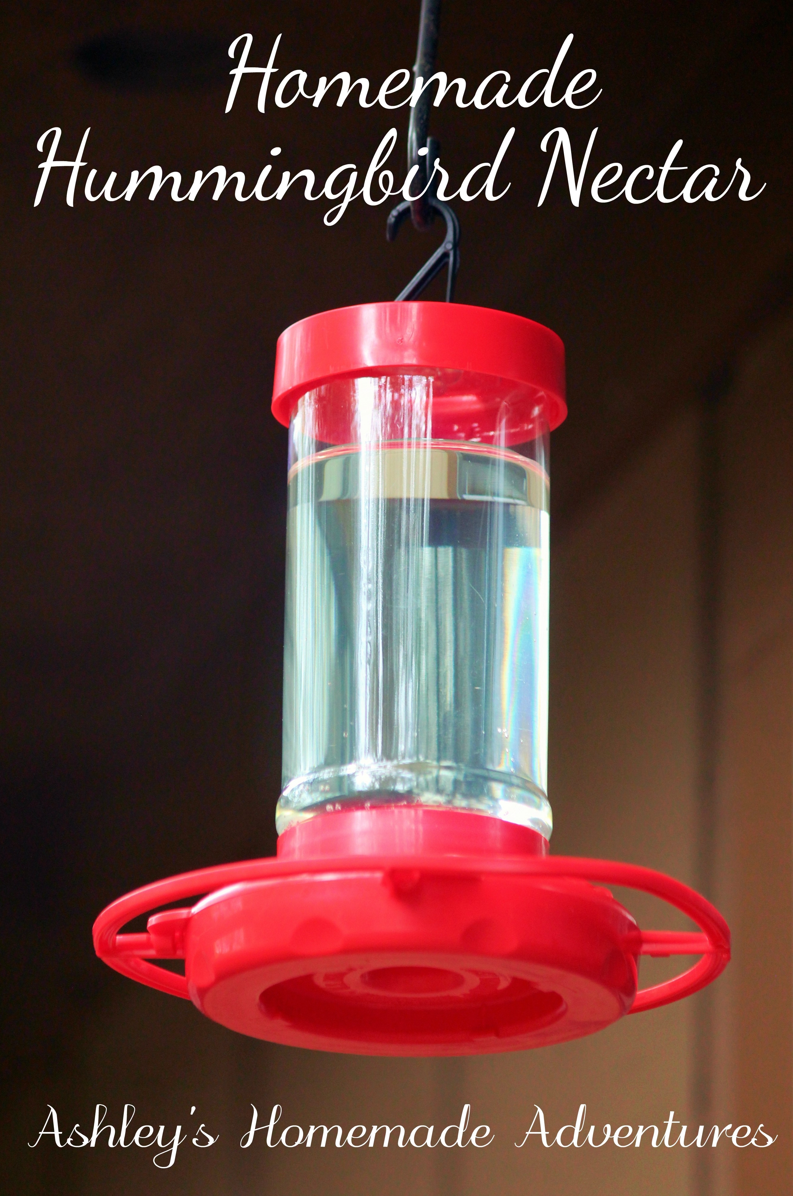 Homemade Hummingbird Nectar ~ Ashley's Homemade Adventures